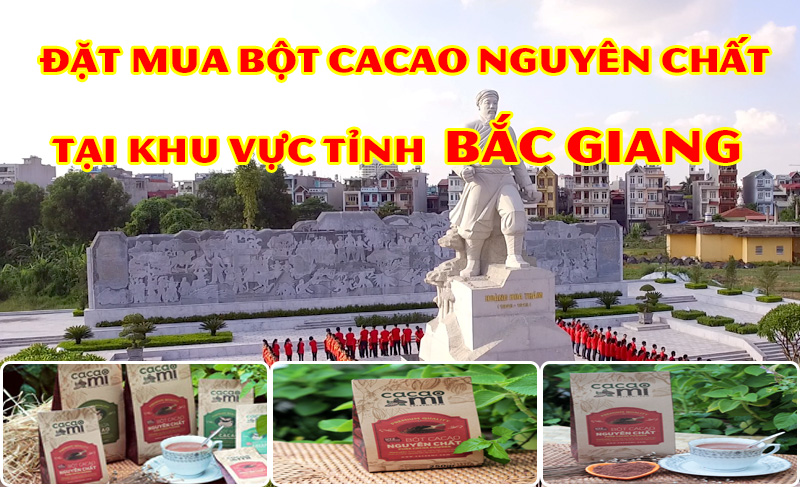 Phân phốt  bột Cacao tại Bắc Giang