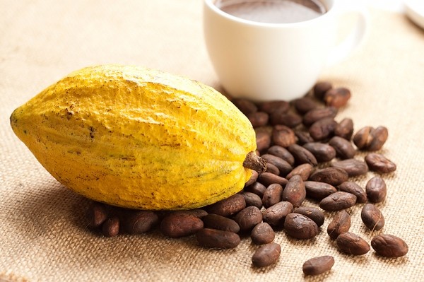 cacao nguyên chất