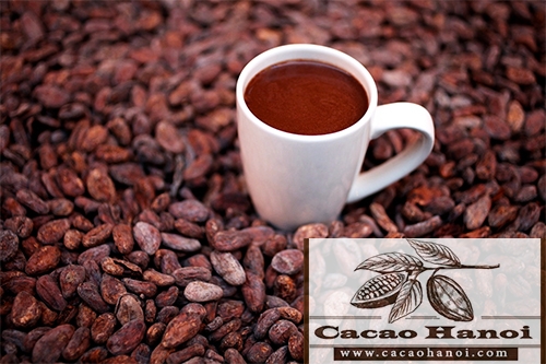 lịch sử của cacao