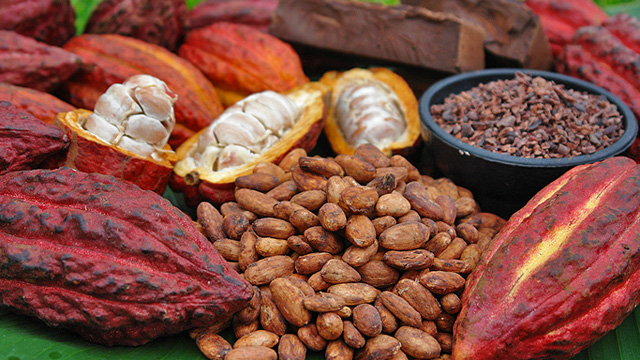 chất chống oxy hóa có trong cacao