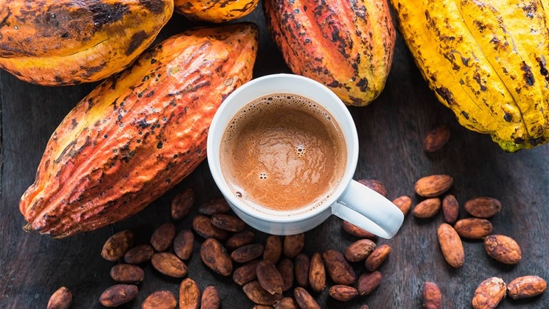 Hạt cacao rang sạch