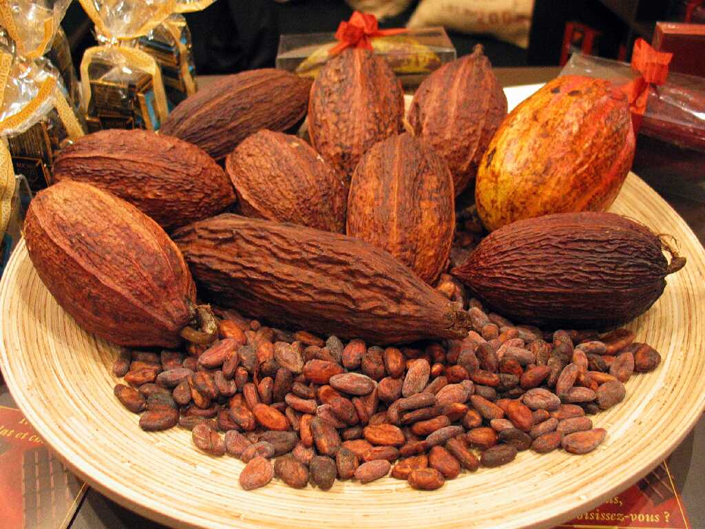 địa chỉ mua hạt cacao rang sạch