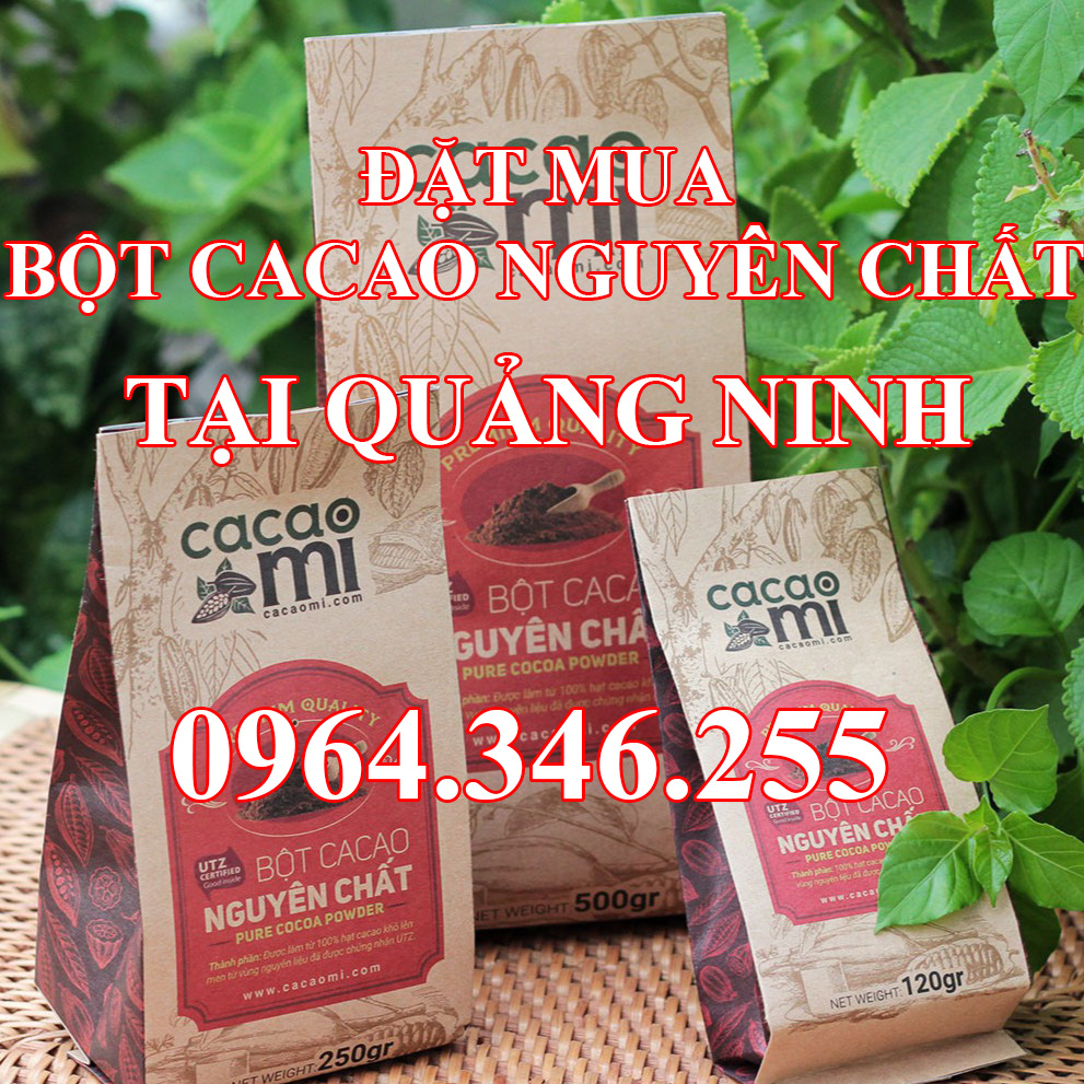 Địa chỉ phân phối bột cacao nguyên chất tại Quảng Ninh