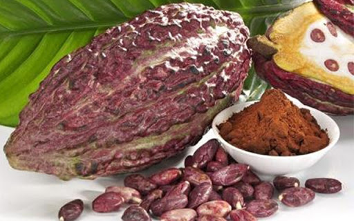 Lựa chọn sản phẩm cacao chất lượng uy tín có nguồn gốc