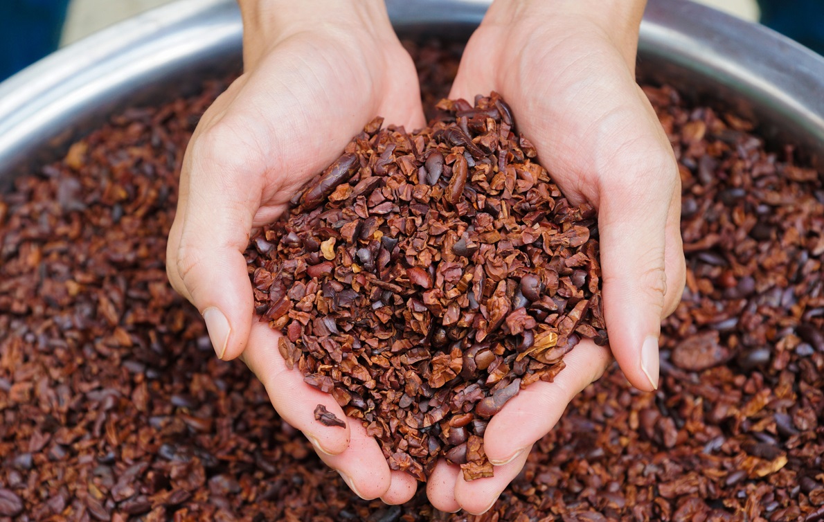 Tác vỏ lụa hạt cacao