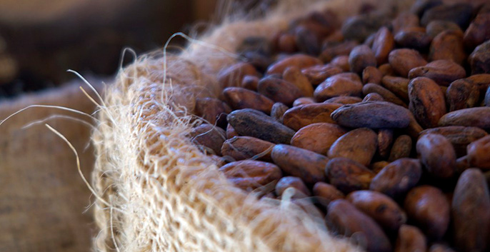 Uống ca cao nhiều có nóng không?