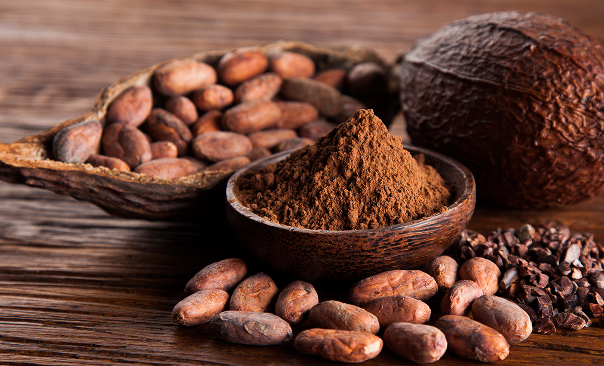 Vì sao cacao nguyên chất có thể giúp giảm cân?