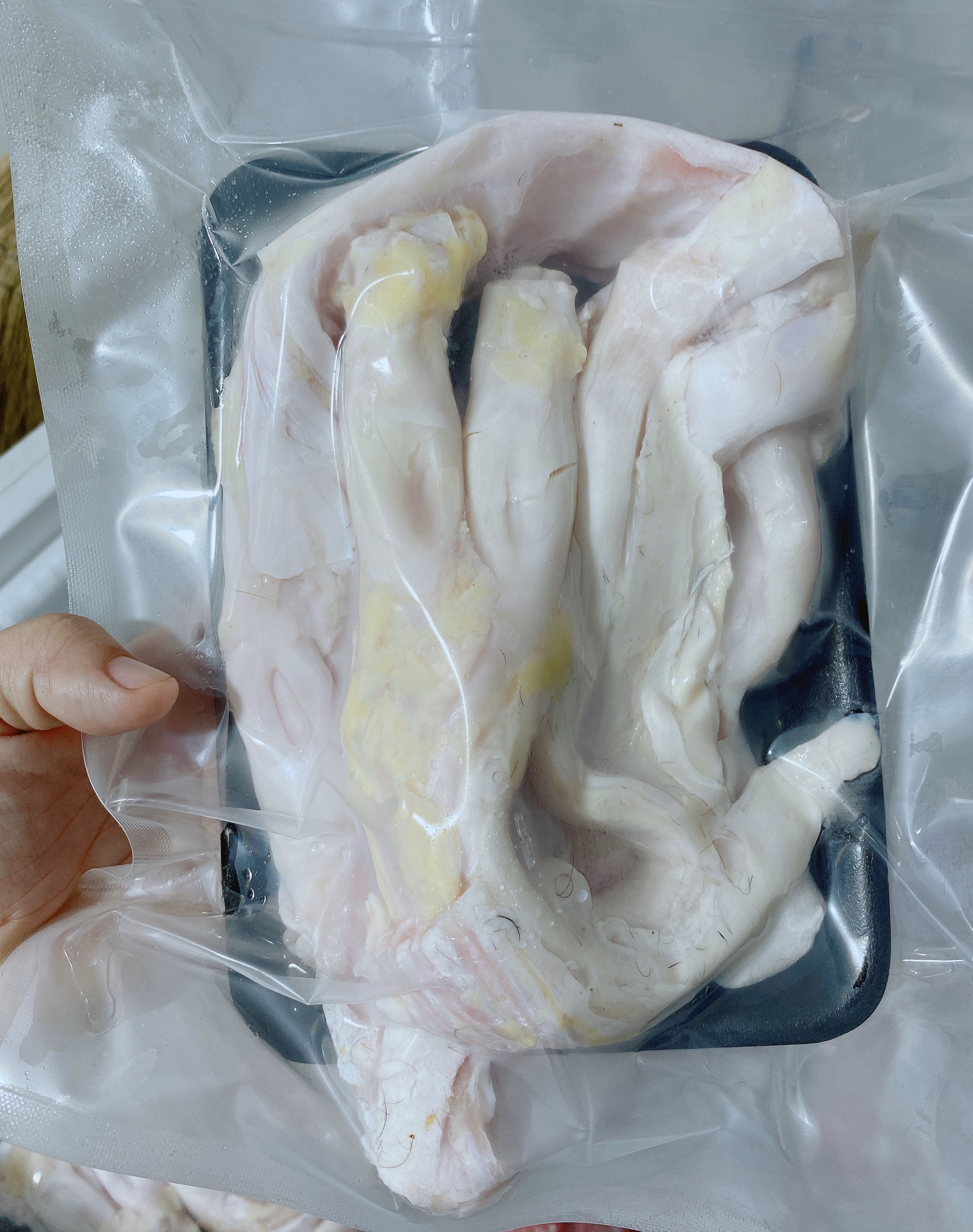 Bí quyết sơ chế gân Y bò 