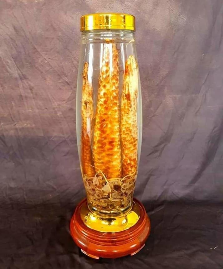 Nhục thung dung ngâm rượu bồi bổ sức khỏe