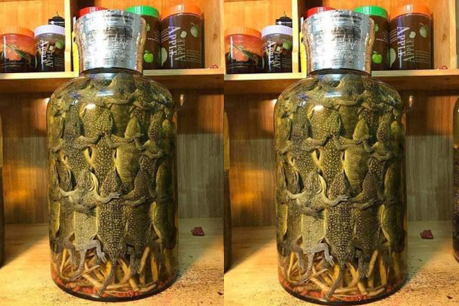 Công dụng của rượu tắc kè