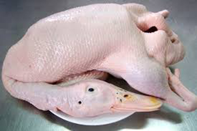 Thịt ngan ăn có tốt không?