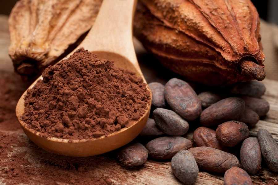 Sử dụng bột cacao nguyên chất như thế nào?