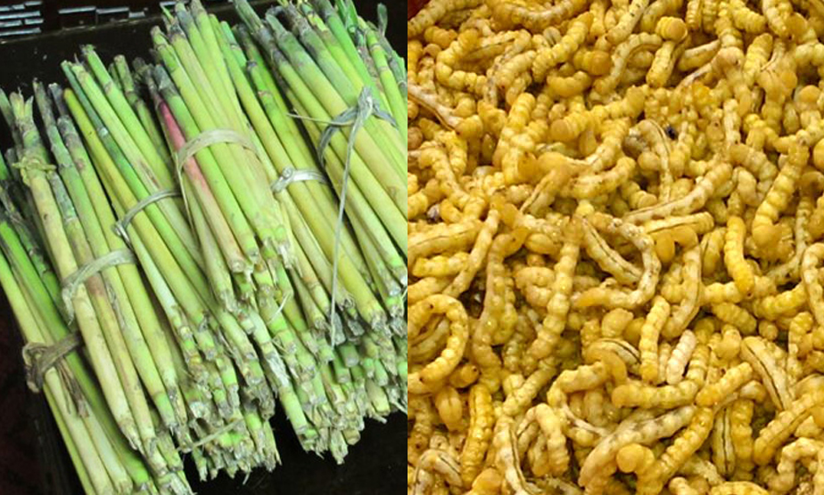  Lấy sâu chít ra khỏi lõi chít: