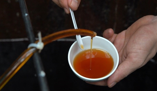 Quy trình làm nước mắm sá sùng cổ truyền Quy trình làm nước mắm sá sùng cổ truyền