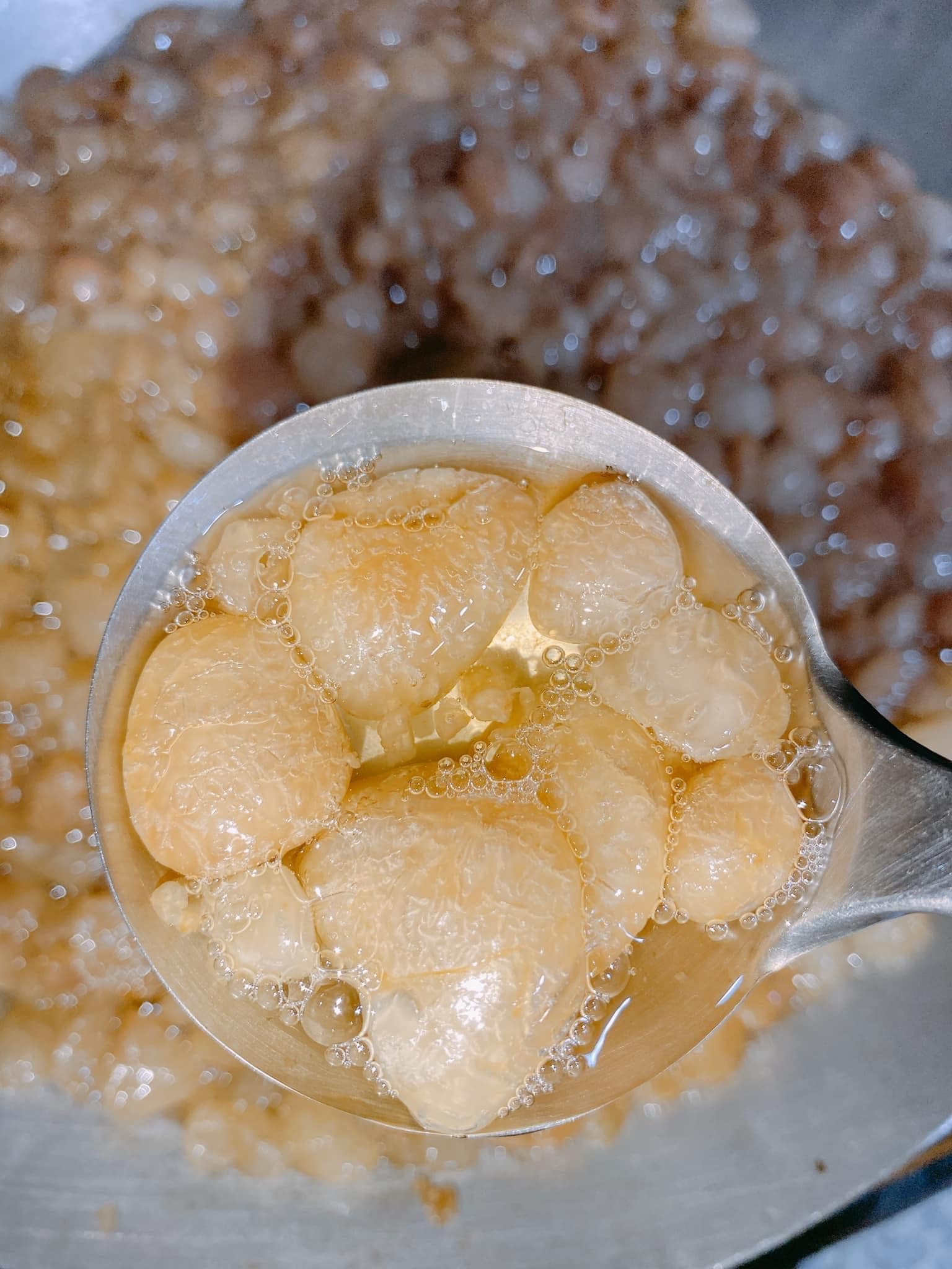 Giới thiệu về sản phẩm mỡ trăn nguyên chất