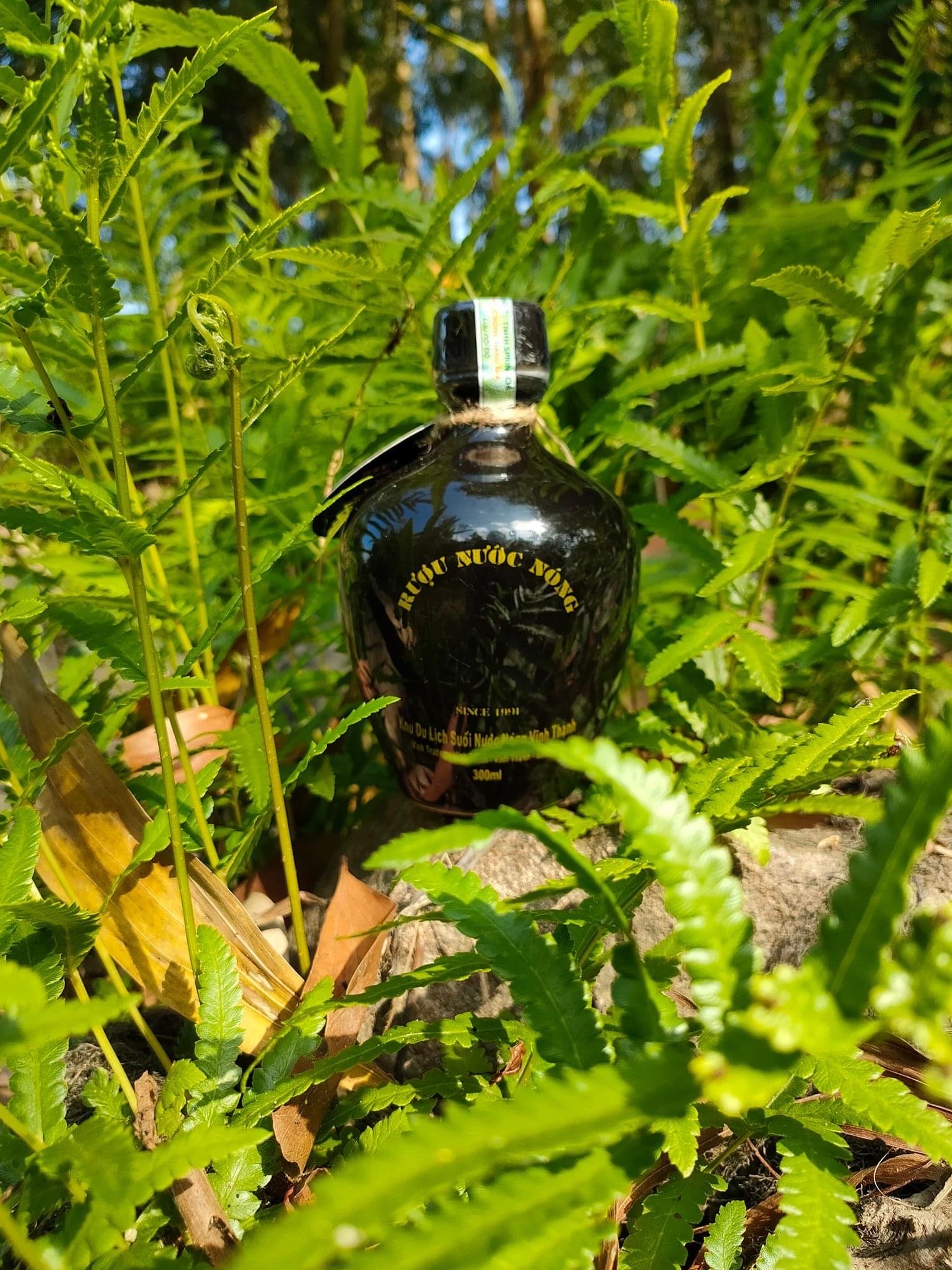 Lợi ích của Rượu Nước Nóng