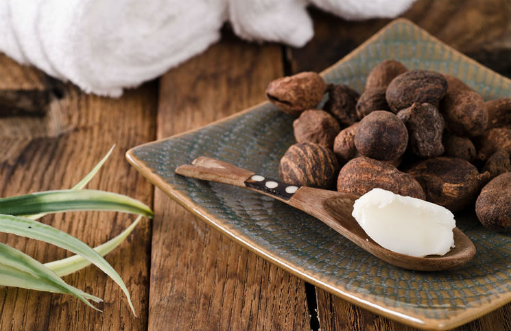 Bật mí những cách dùng bơ Cacao để trẻ mãi không già