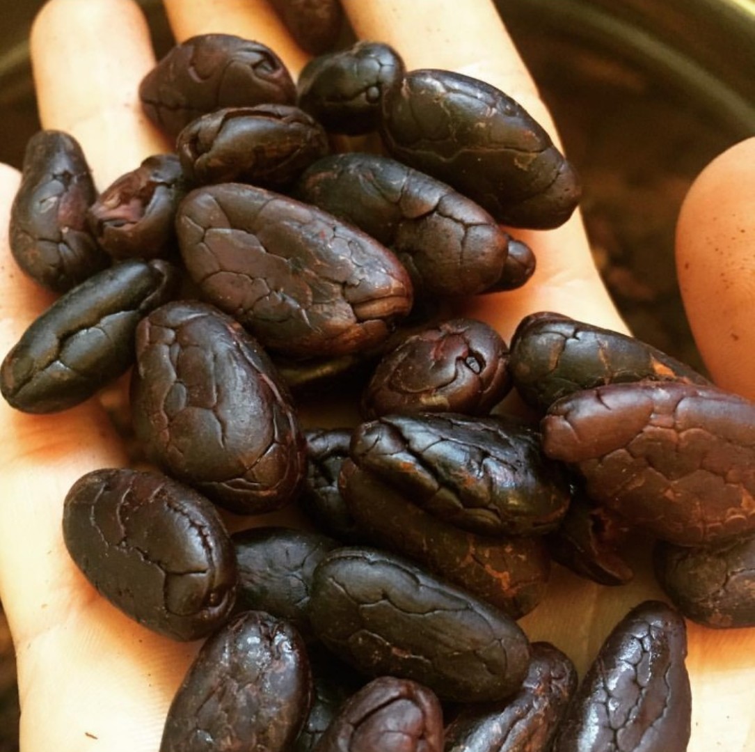 Hạt Cacao Rang 