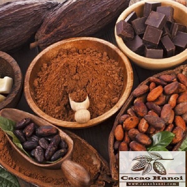 5 lý do nên mua cacao tại cacaohanoi.com