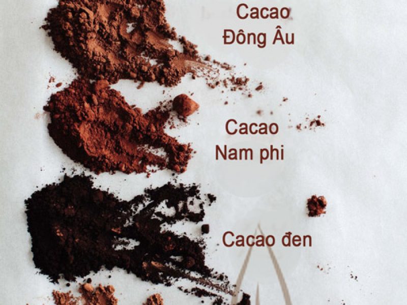 Phan loai cacao