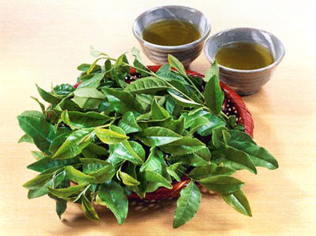 Tác dụng của chè xanh cho làn da khỏe đẹp