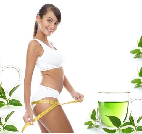Lá chè xanh giúp giảm cân