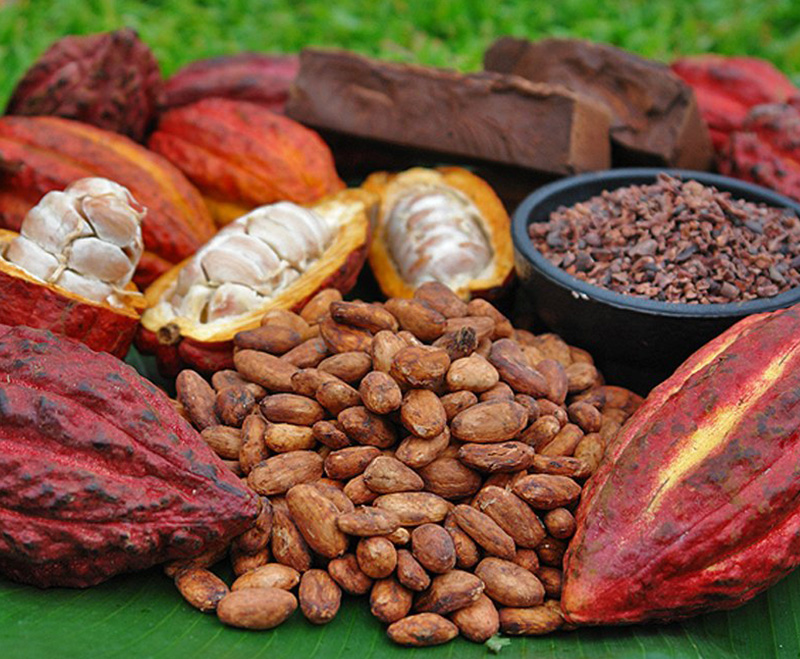 Bột cacao nguyên chất