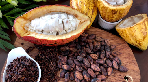 Xây dựng thương hiệu cacao Châu Đức tại Vũng Tàu