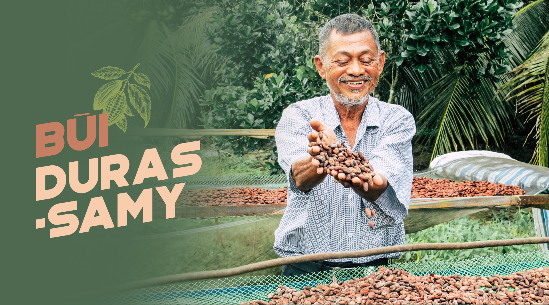 Người Ấn gốc Việt hồi sinh cacao Tiền Giang