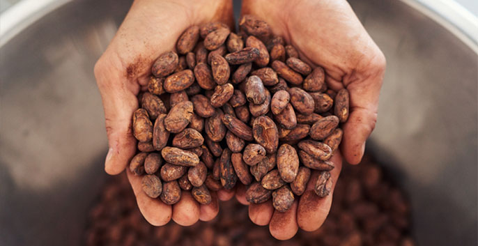 Mách bạn cách rang hạt cacao tại nhà